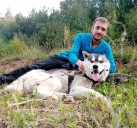 Сибирский хаски Сибирский хаски